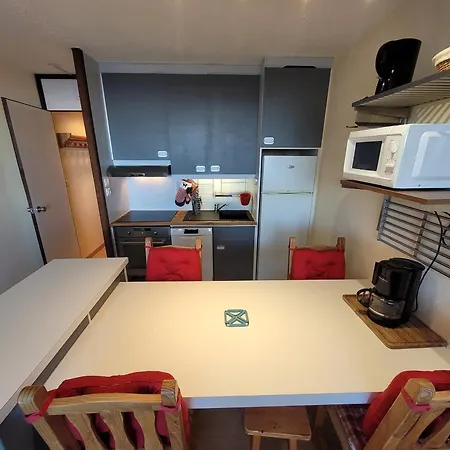 Confortable, Pied Des Pistes, Animaux Admis - Fr-1-181-2875 La Plagne