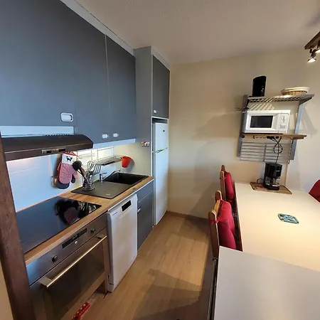 Lägenhet Confortable, Pied Des Pistes, Animaux Admis - Fr-1-181-2875 *