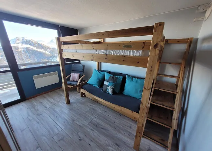 Confortable, Pied Des Pistes, Animaux Admis - Fr-1-181-2875 * La Plagne