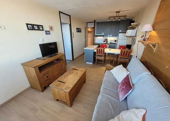 Confortable, Pied Des Pistes, Animaux Admis - Fr-1-181-2875