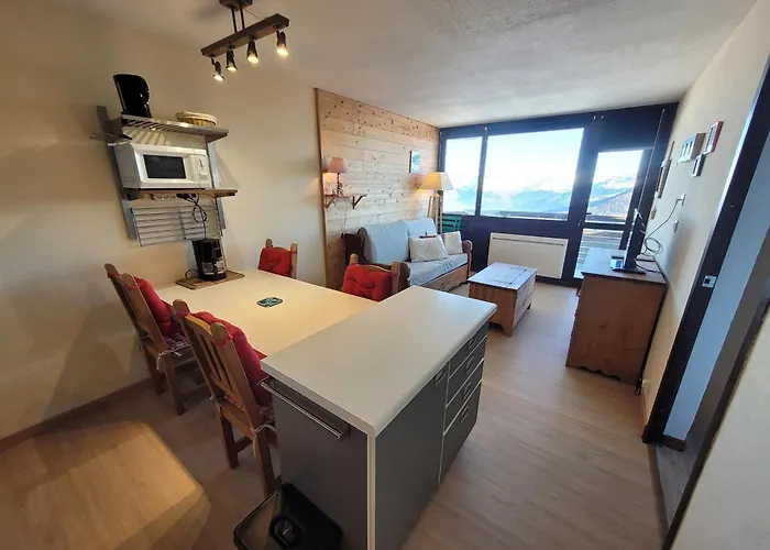 Confortable, Pied Des Pistes, Animaux Admis - Fr-1-181-2875