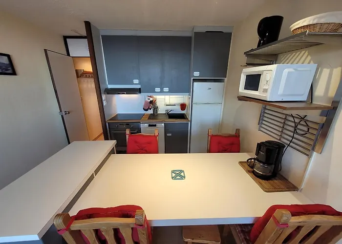 Confortable, Pied Des Pistes, Animaux Admis - Fr-1-181-2875 拉普拉涅