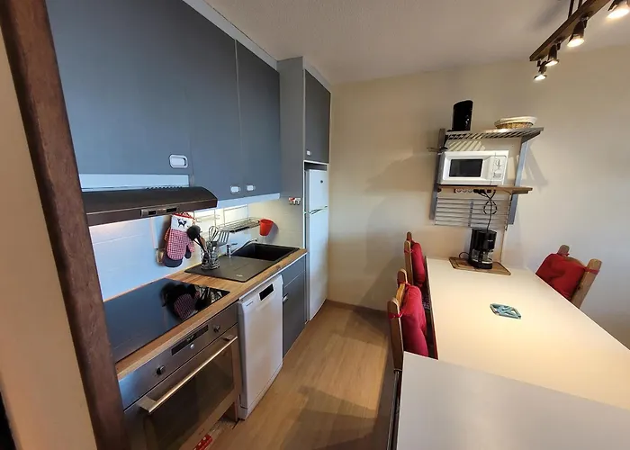 公寓 Confortable, Pied Des Pistes, Animaux Admis - Fr-1-181-2875 *