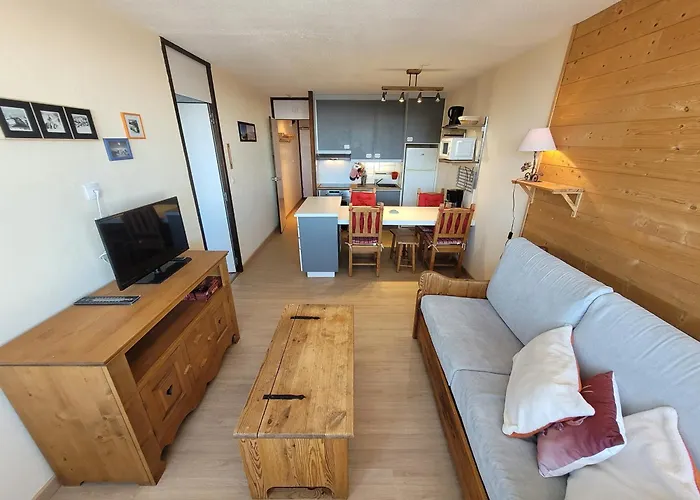 公寓 Confortable, Pied Des Pistes, Animaux Admis - Fr-1-181-2875