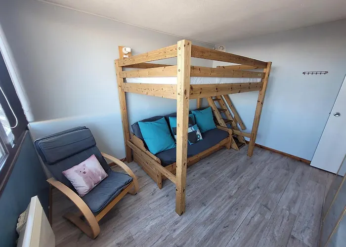 Confortable, Pied Des Pistes, Animaux Admis - Fr-1-181-2875 公寓 拉普拉涅