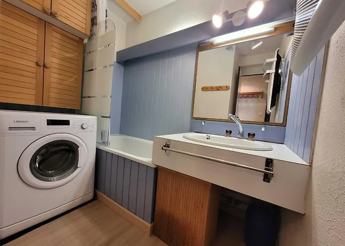 Confortable, Pied Des Pistes, Animaux Admis - Fr-1-181-2875